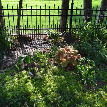 DIY Landscape - Woodland or Shade Gardening