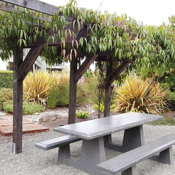 Community Gathering Multi-Family Garden