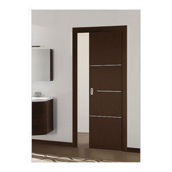 Modern Pocket Door with stainless steel accent lines - Interior Doors