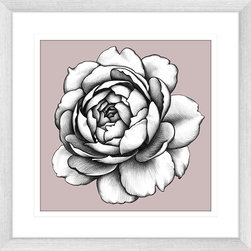 In Bloom Collection - Framed Art Prints (BLOOM02) - Artwork