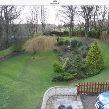My Renovation - Garden