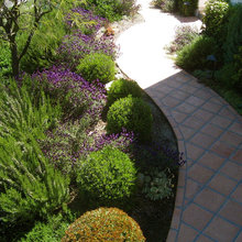 Landscaping Front /Courtyard