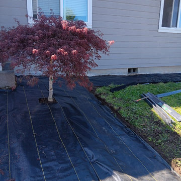 Richard's Landscaping Maintenance LLC