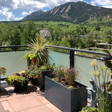 Mountain View Terrace