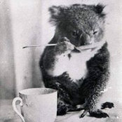 Kate Arkhipova's photo