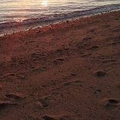 Lorie Rounds-Markin's photo