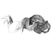 Marianna Trofimova's photo