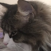 Lynda Luttrell's photo
