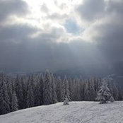 Ірина Падучак's photo