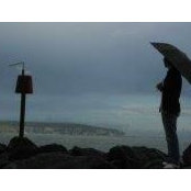 Daniel Yang's photo