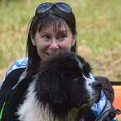 Patricia Schaeflern's photo