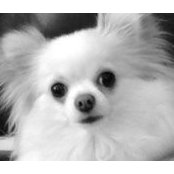 Pam Power's photo