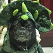 Photo de Rosa Vazquez