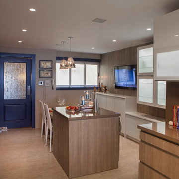 Modern Man Cave