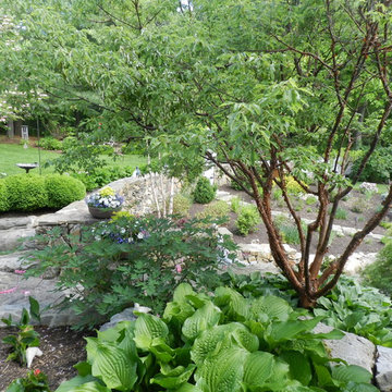 Pool Landscaping Project