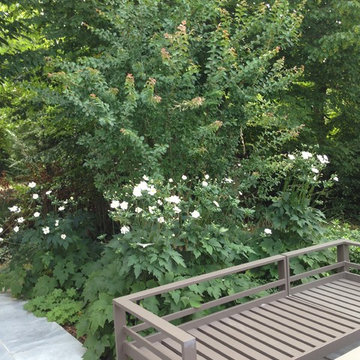 UN JARDIN DE GRAMINEES