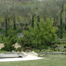 bridge design ideas