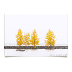 Tree Collection - Prints And Posters
