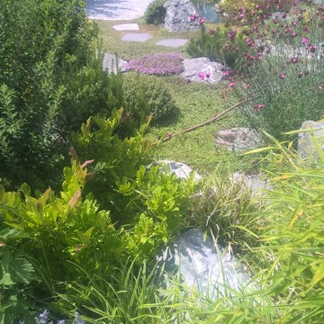 natural pond, Teichlandschaft