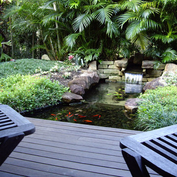 Noosa - Tropical Garden