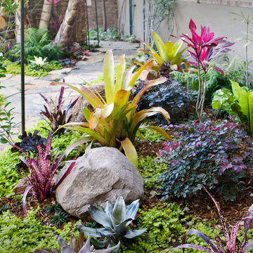 Colorful Shade Garden- Hollywood Hills