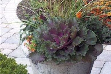 Photo of a landscaping in Chicago.