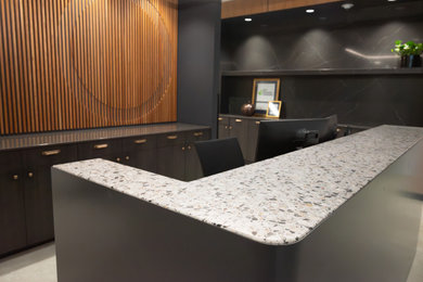 Inspiration for a modern home design remodel in Other