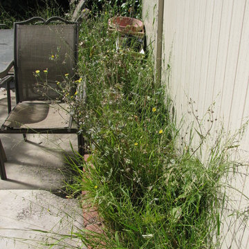 Backyard Planter, HB