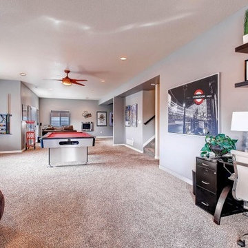 Vacant Basement