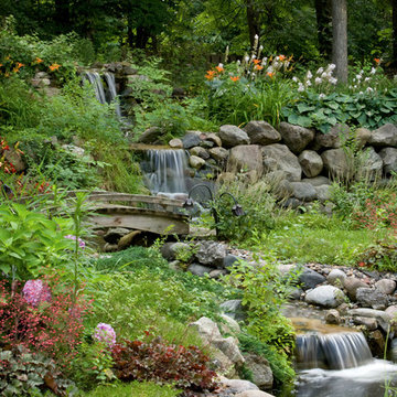 Man-Made Stream but Naturalized