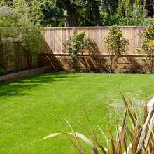 Fence Ideas