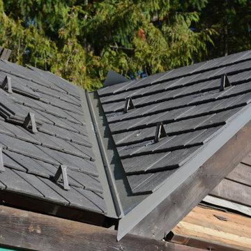 Roof Replacements with Snow Pegs