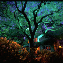 landscape lighting