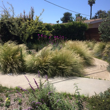 Water Wise Landscape Refresh (Clairemont Mesa)