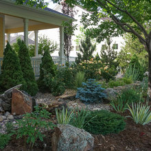New Backyard