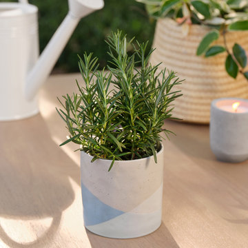 Summer Gardening Collection - Hearth & Hand™ with Magnolia