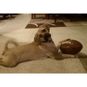 Laura Strecker's photo