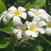 Claire Treen's photo