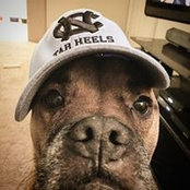 Josh Anderson's photo