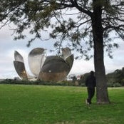 Foto von Jose Peña