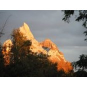 Brendan Kuhlkin's photo
