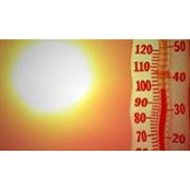 Amanda Rieke's photo