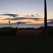 Tommy Ward's photo