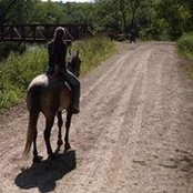 Katherine Buss's photo