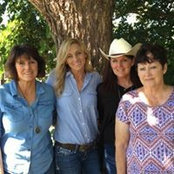 Michelle McWilliams's photo