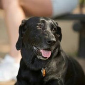 Mark Philipp's photo