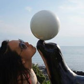 Ellen Kim's photo