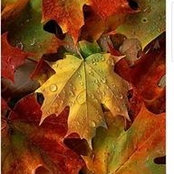 Thea Meyer Cunningham's photo