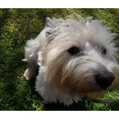 Karmin Colenbrander's photo