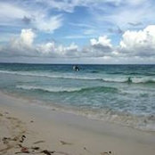 Sandy Bowman's photo